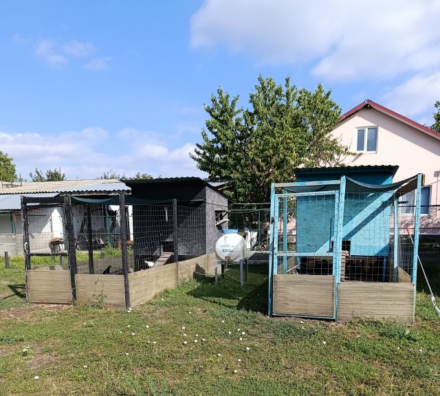 Веселая ферма: Итоги лета.