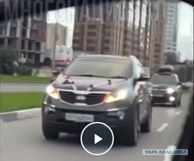 В Новосибирске ценнейшие «братья» из Таджикистана готовятся праздновать День независимости