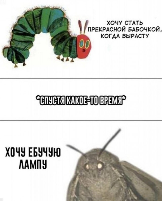 Небаянистая деградация 11
