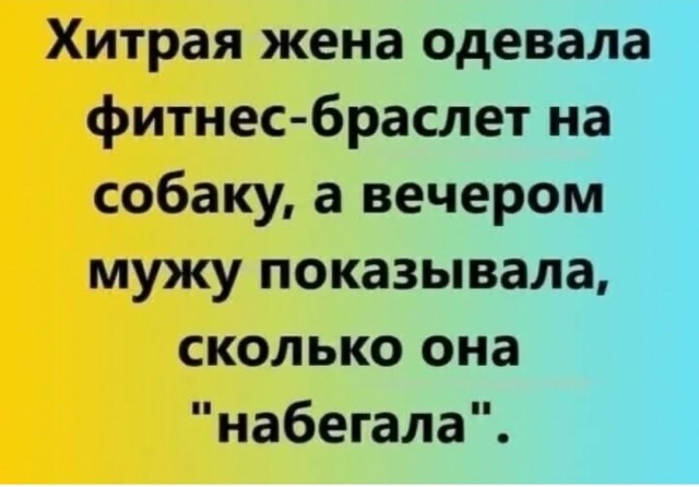 Так себе картинки 02.02.26