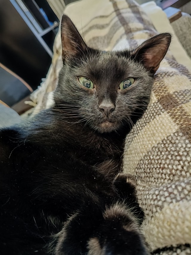 Чот накОтило.