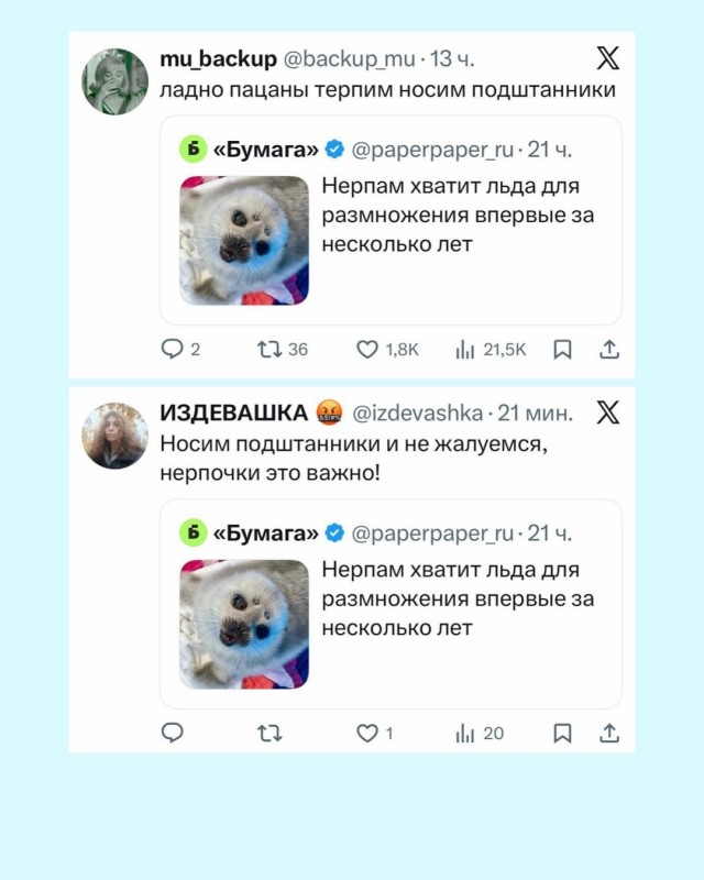 Санкт-Петербург получил мотивацию перетерпеть морозы.