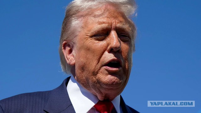 Трамп вновь заявил, что с Зеленским сложнее иметь дело, чем с Путиным