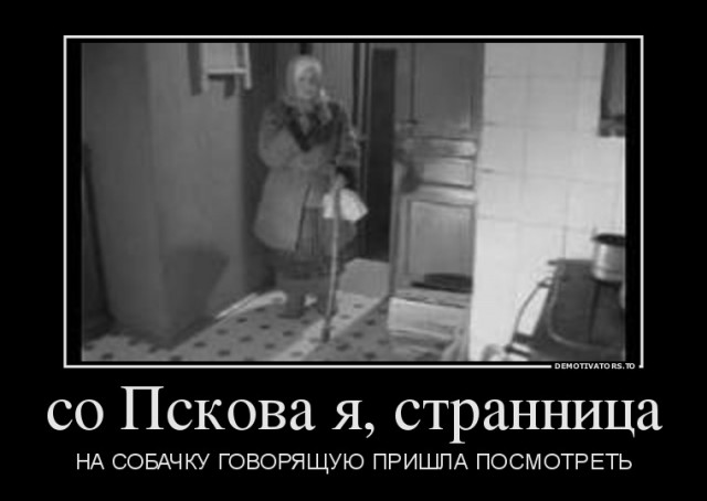 Псков онлайн камеры