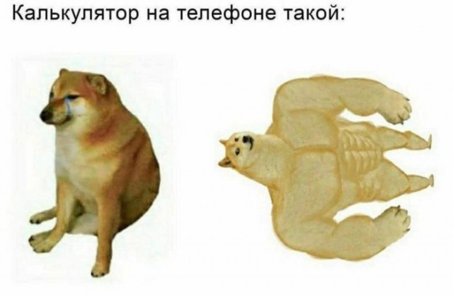 Веселые картинки в пятницу (24.04)