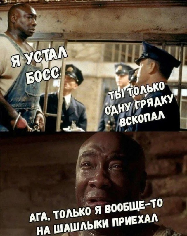 Всякой дряни притащил