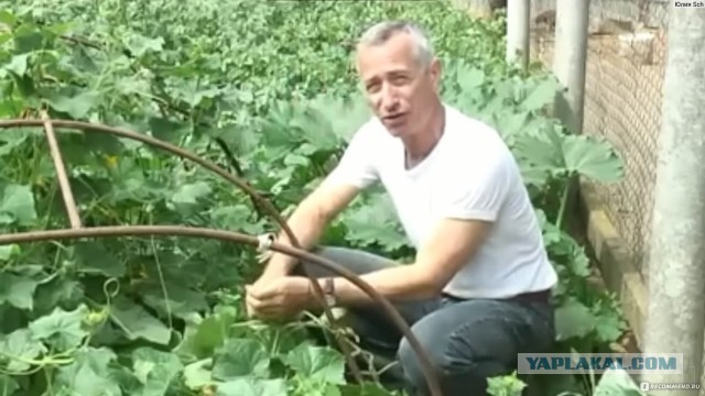 Пэрсик..