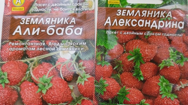 Земляника.