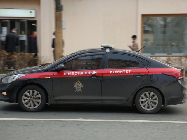 В Подмосковье завели уголовное дело на отца, избивавшего дочь в лифте