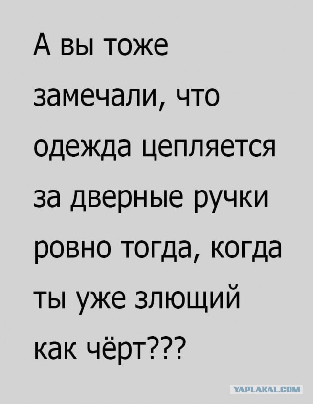 Картиночки, баянчики 01 июля