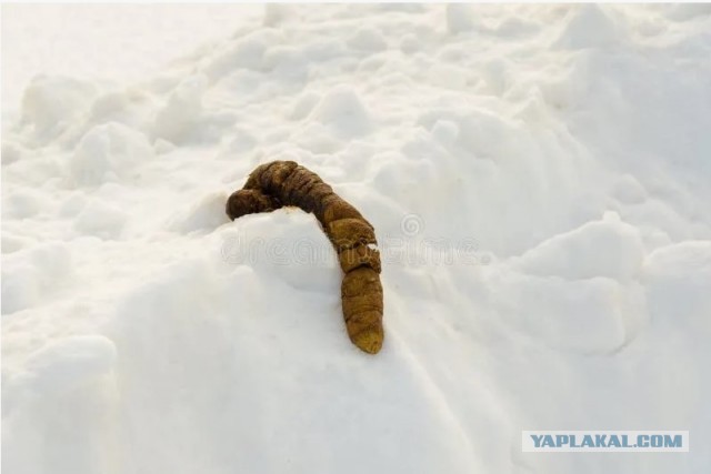 Узреть своё невежество