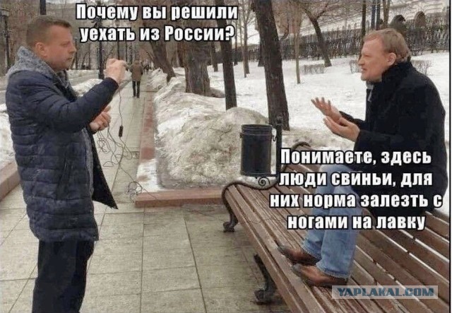 Вот как с такими отморозками поступать?