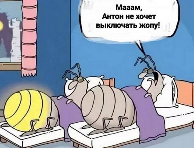 Картинки для деградации 261 (разной степени свежести)