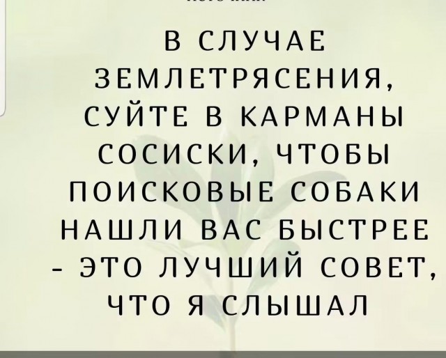 Картинки для деградации 266 (разной степени свежести)