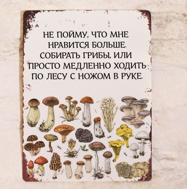 Грибные места Подмосковья.