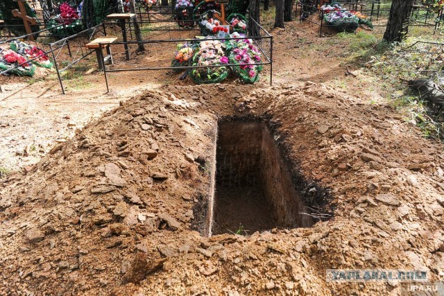 Гектар земли "бесплатно" от государства.