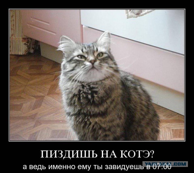Люди, я вас понимаю!