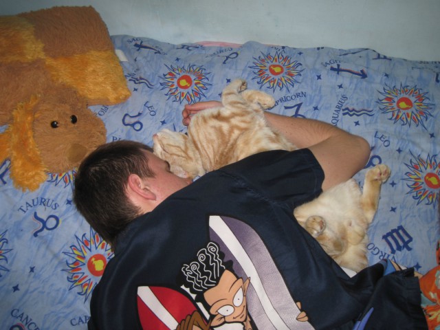 Забавный котикс