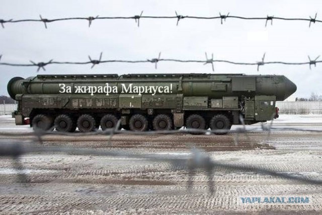 В зоопарке Копенгагена убили жирафа :(