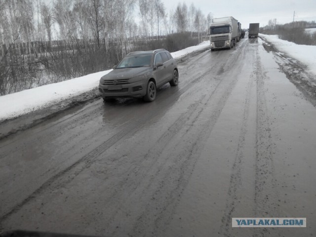 Озеленение Владивостока.