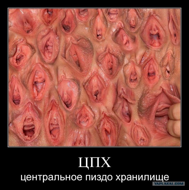 Борщ