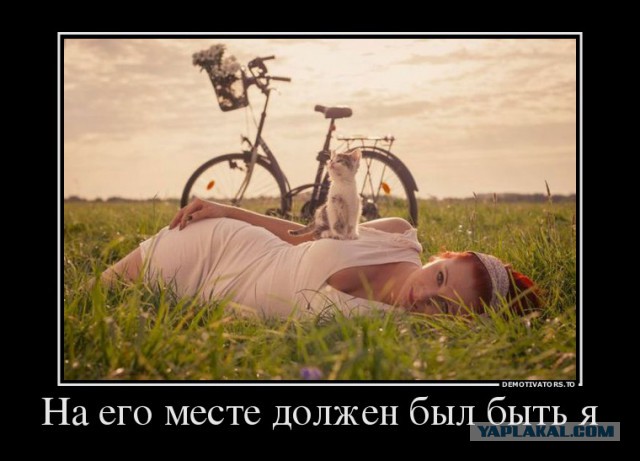 Смешное из сети