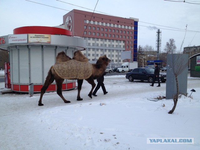 Челябинск