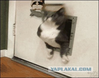 Это всё потому