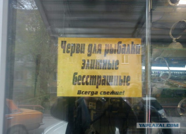Веселости которые встретились сегодня