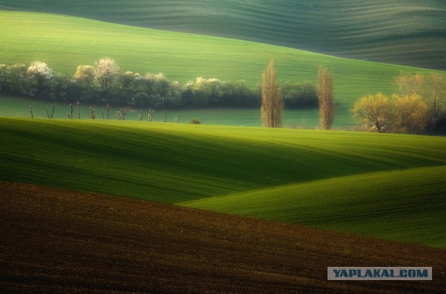27 фотографий