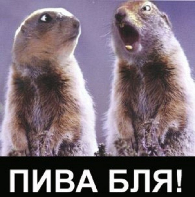 Веселости на пятницу