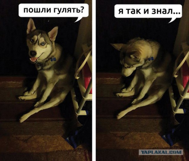 Картинки для настроения