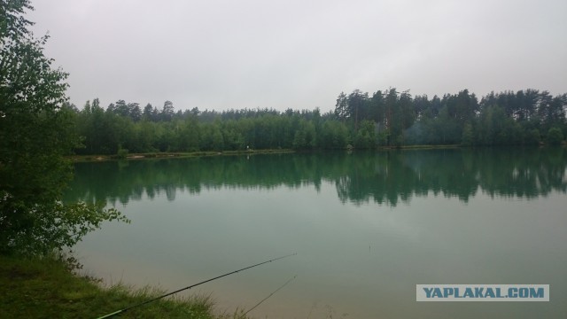 Всех С Днем Рыбака