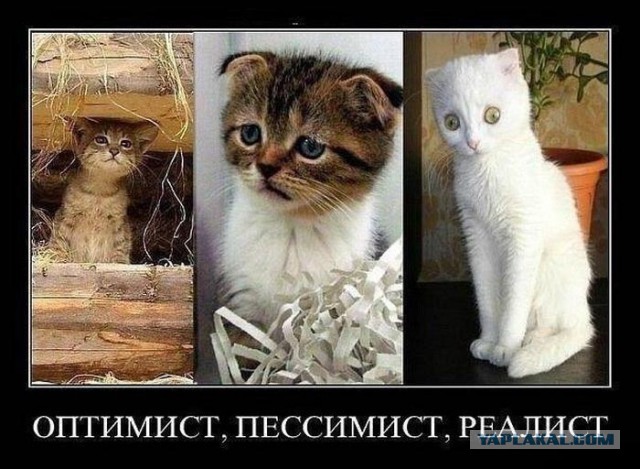 Картинки с просторов на четверг