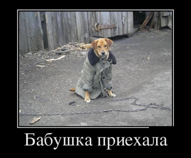 Подборка картинок
