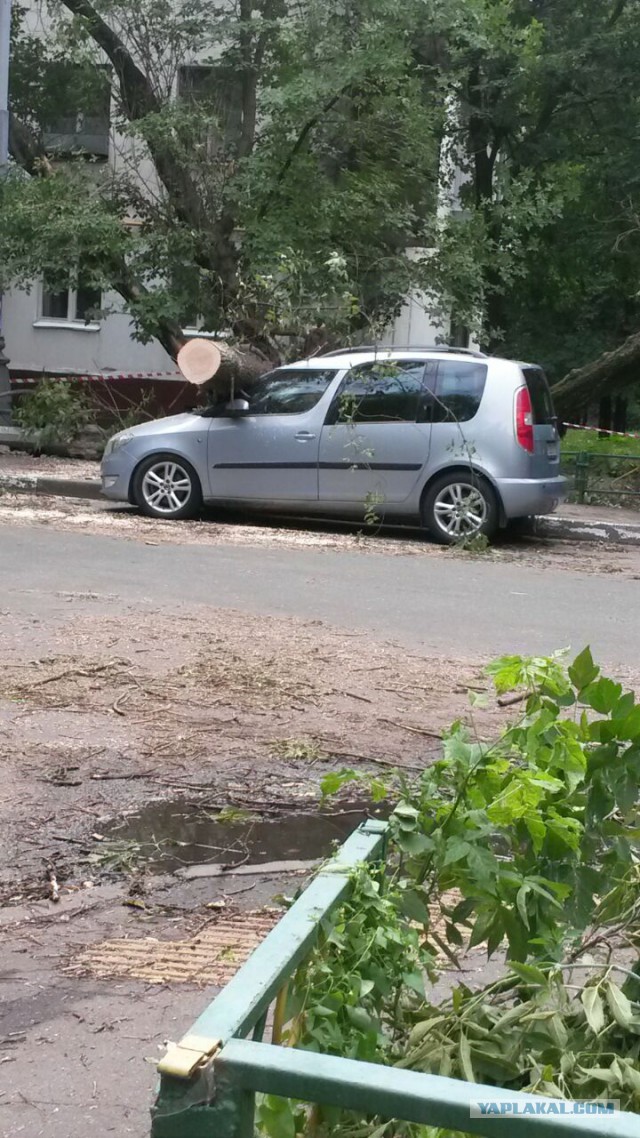 Сильная гроза в Москве и ее последствия