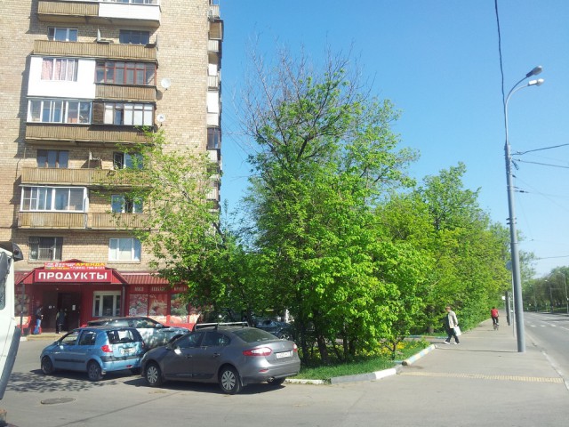 Фотопутешествие по летней Москве