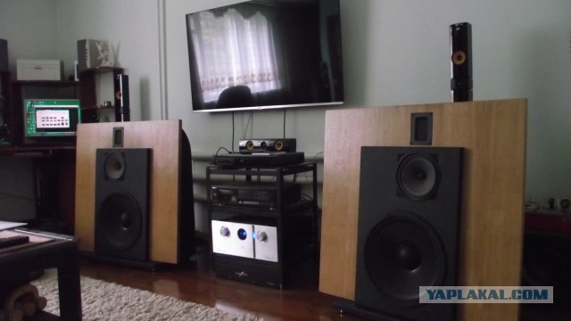 Hi-End головного мозга