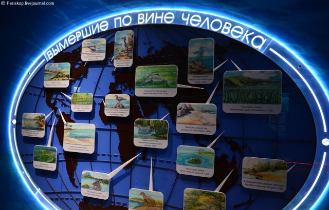 День 18. Владивостокский океанариум на острове Русский