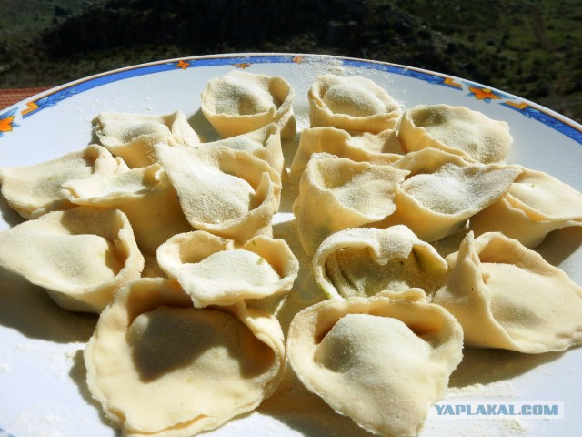 Травяные пельмени с коноплей