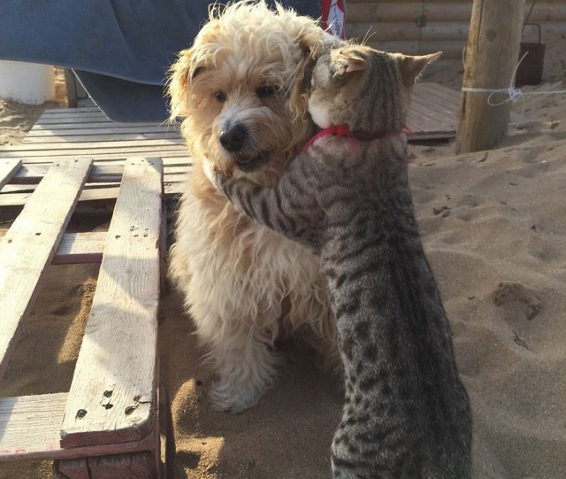 Подборка интересных и веселых картинок