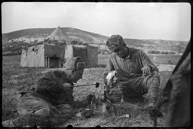 Фотографии Валерия Фаминского