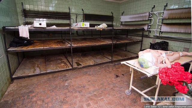 Люди не могут поверить, что в этой крутой квартире всего 22 м², но в ней есть всё