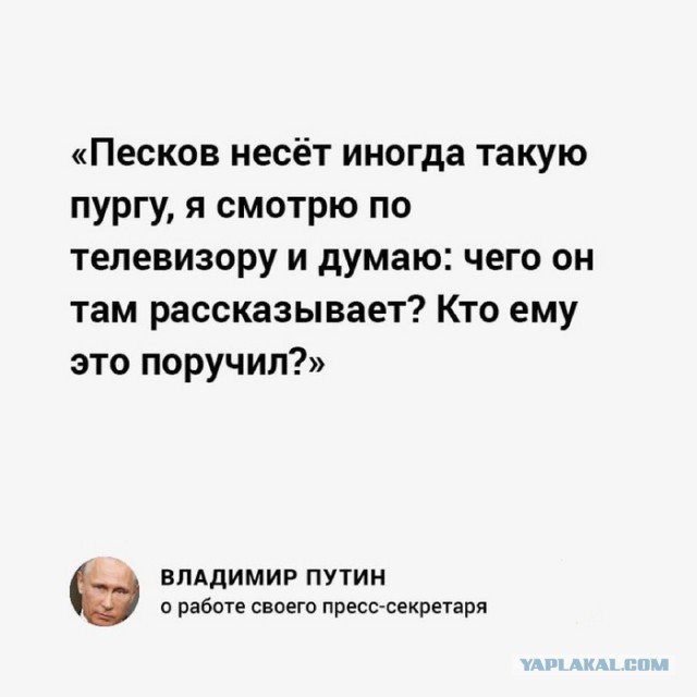 "Рабы" посмели праздновать, или Кто здесь настоящая "медиашваль"?