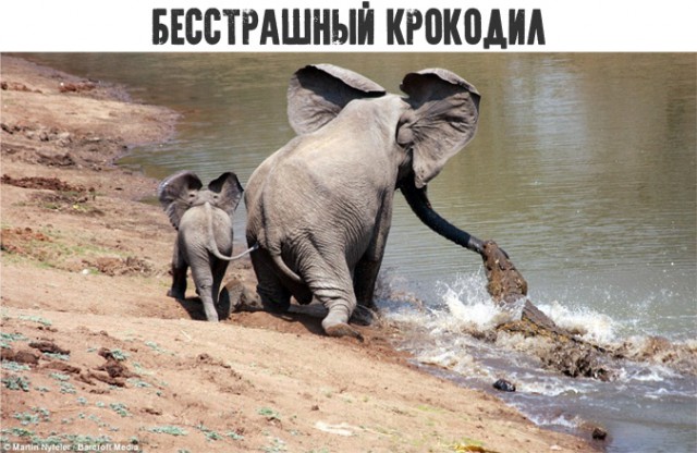 Веселье тёмных сил в эти выходные