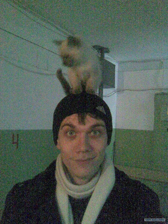 Котовторник 10.04.2012