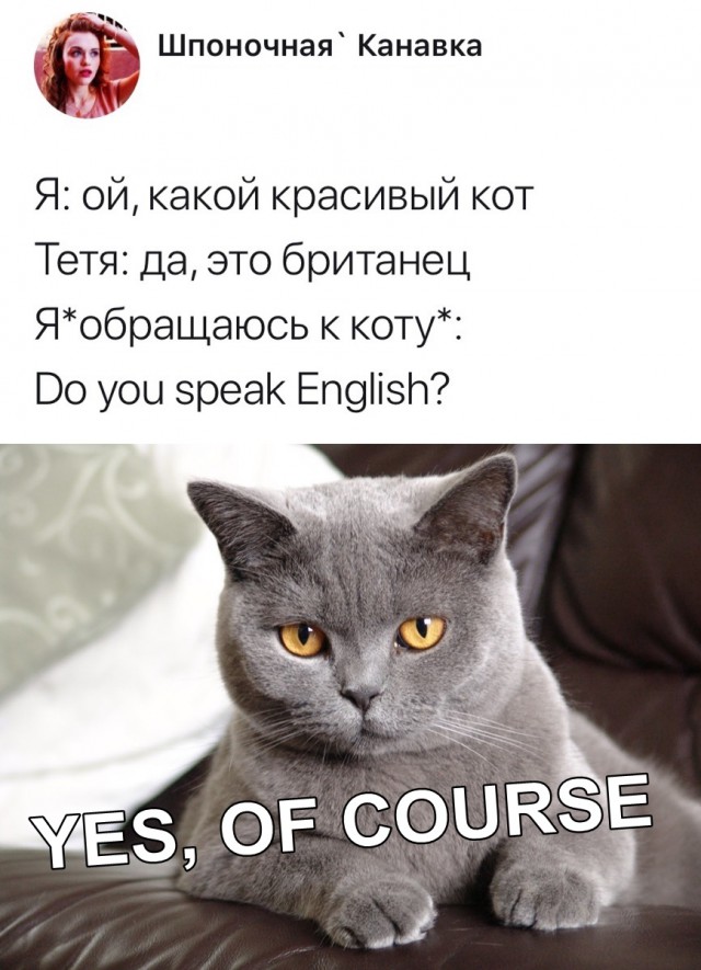 Нестандартный юмор