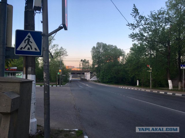 Выдержавший