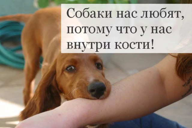 Чорного йумора пост