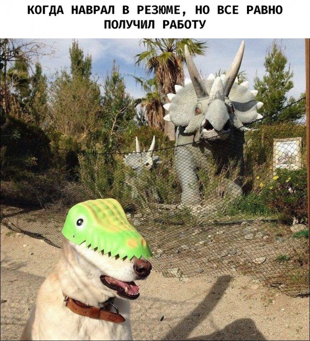 Журнал с картинками
